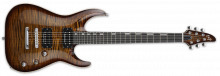 HORIZON NT CTM ANTIQUE BROWN SUNBURST