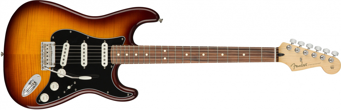 Player Stratocaster® Plus Top Tobacco Burst