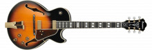 GB10 BS  : 										 										 										 											Brown Sunburst